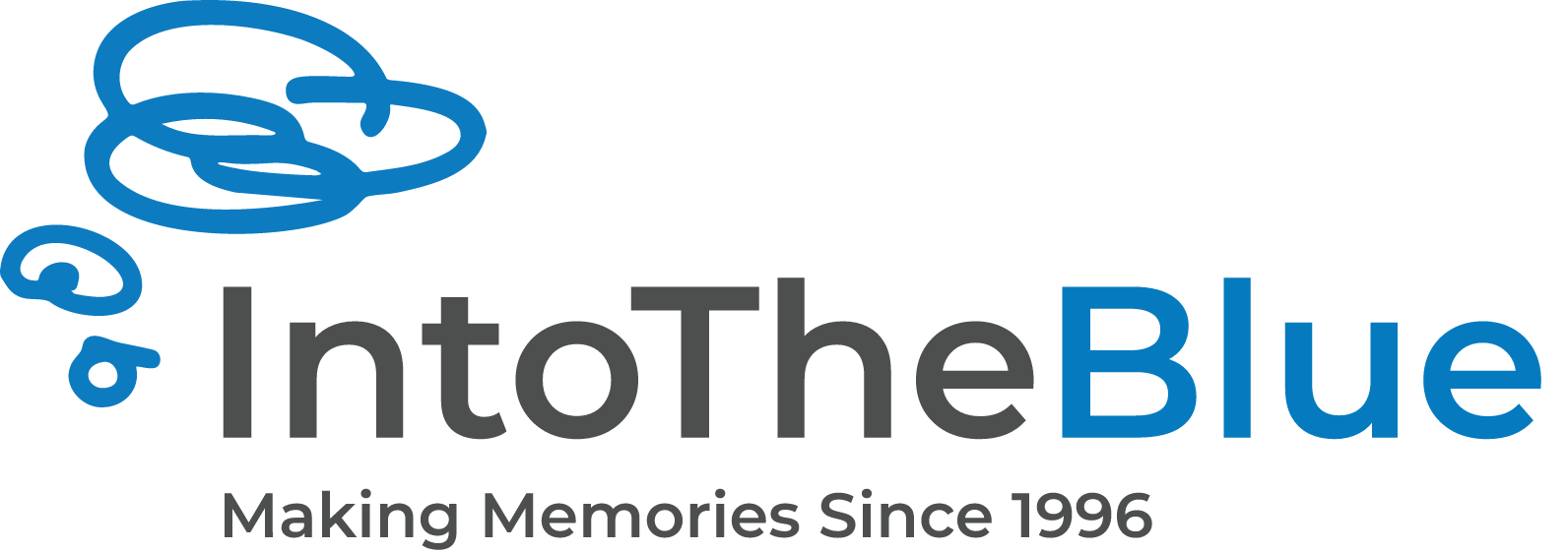 Into the Blue logo