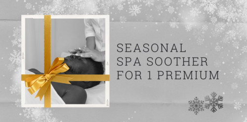 Seasonal Spa Soother for 1 Premium