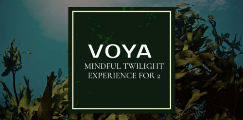 Voya Mindful Twilight for 2