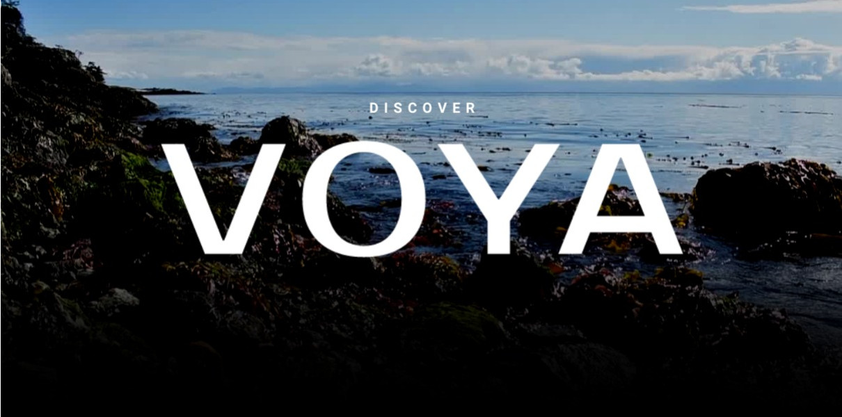 Discover Voya