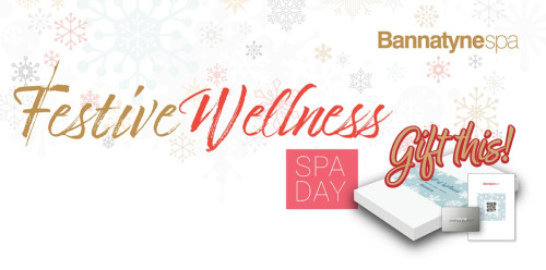 Festive Wellness Spa Day