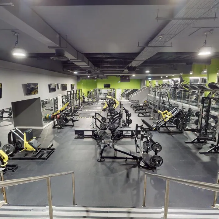 Gym Floor