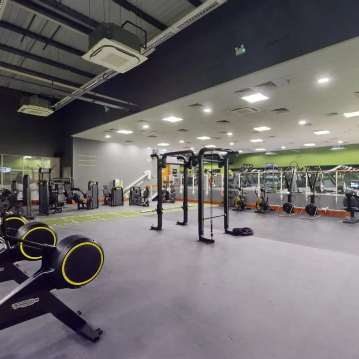 Gym Floor