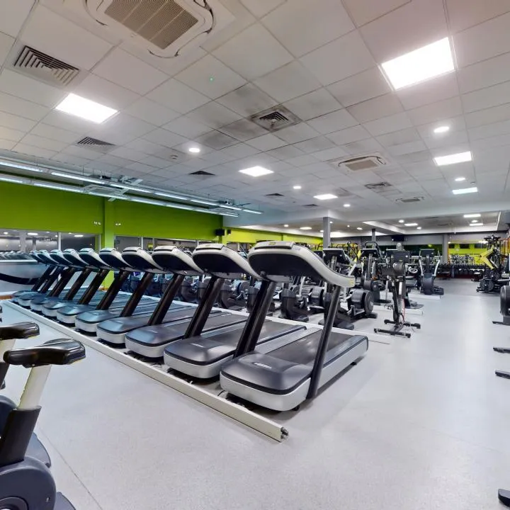 Gym Floor