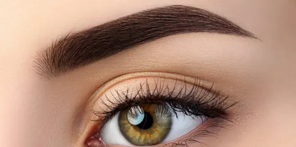 Eyebrow Tint