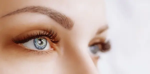 Eyelash Tint, Eyebrow Wax & Eyebrow Tint